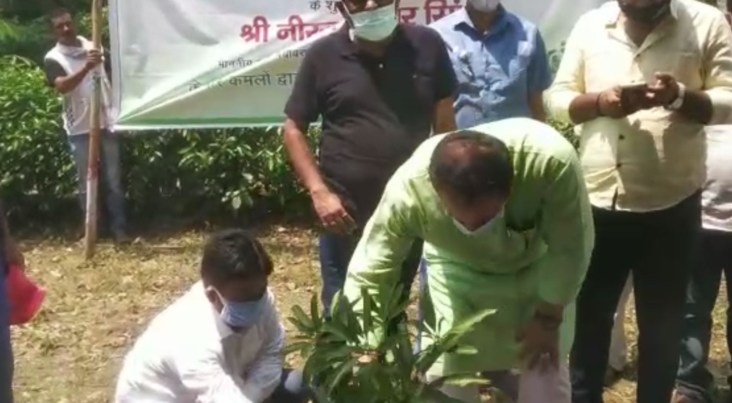 nitish kumar plantation