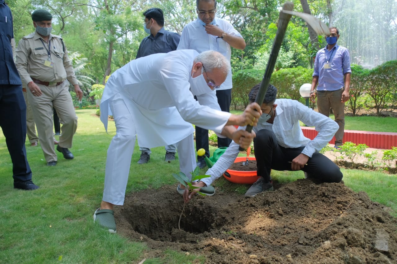 Chhattisgarh Tree Plantation Promotion Scheme