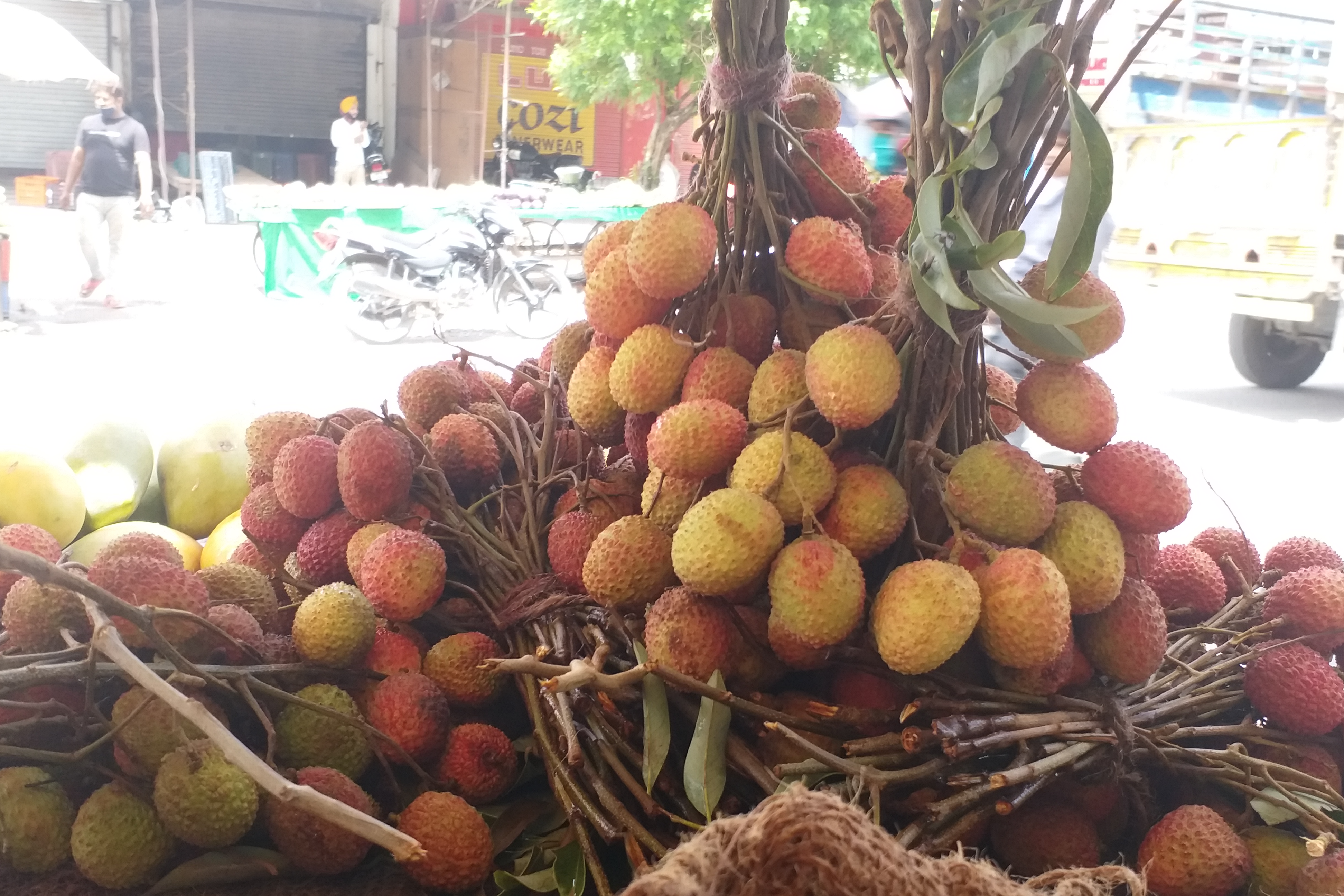 litchi business in paonta sahib,  पांवटा साहिब में लीची का कारोबार