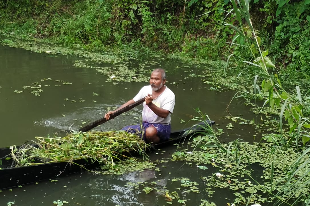 Jadav Payeng