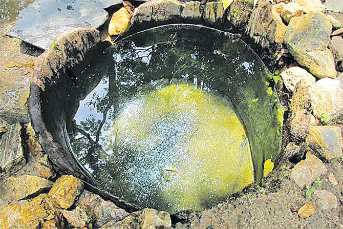 Sacred wells in Kerala