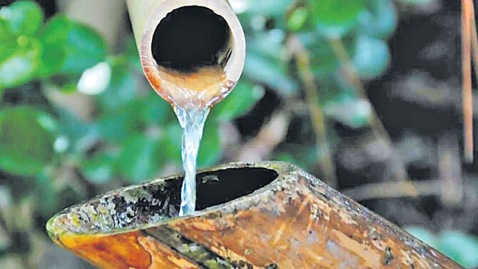 Drip irrigation with bamboo