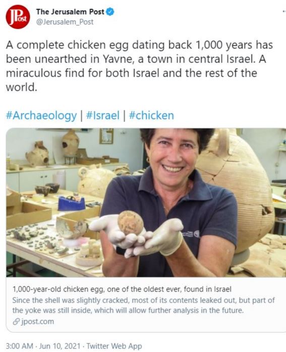 1000 years old egg of hen