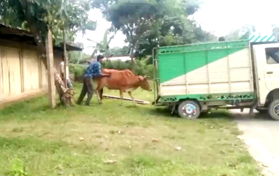 কৰিমগঞ্জত ৰাইজৰ তৎপৰতাত জব্দ গৰু ভৰ্তি ট্ৰাক