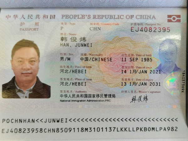 chinese national arrested