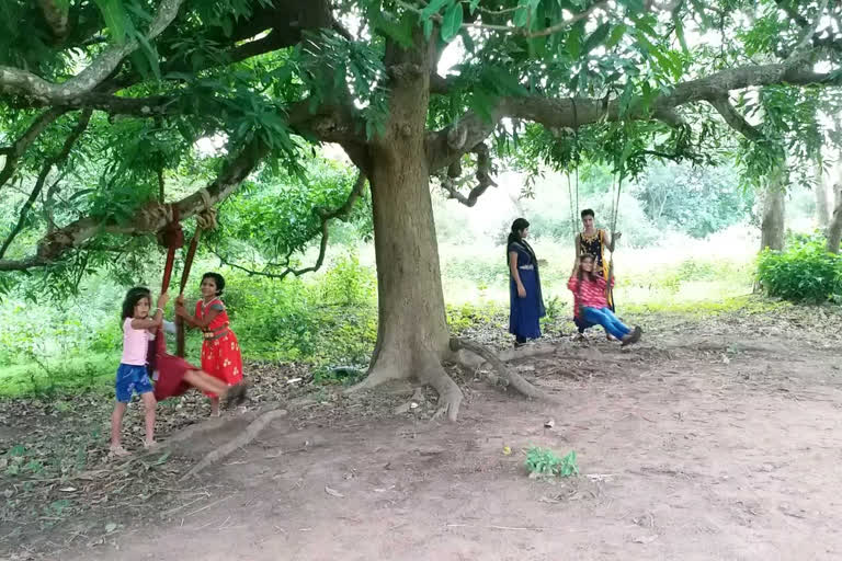 Raja Festival, Raja celebration during locdown, ବନସ୍ତେ ଡାକିଲା ଗଜ, ରଜ ପର୍ବ, ରଜ ମଉଜ, ଲକ୍‌ଡାଉନ ରଜ