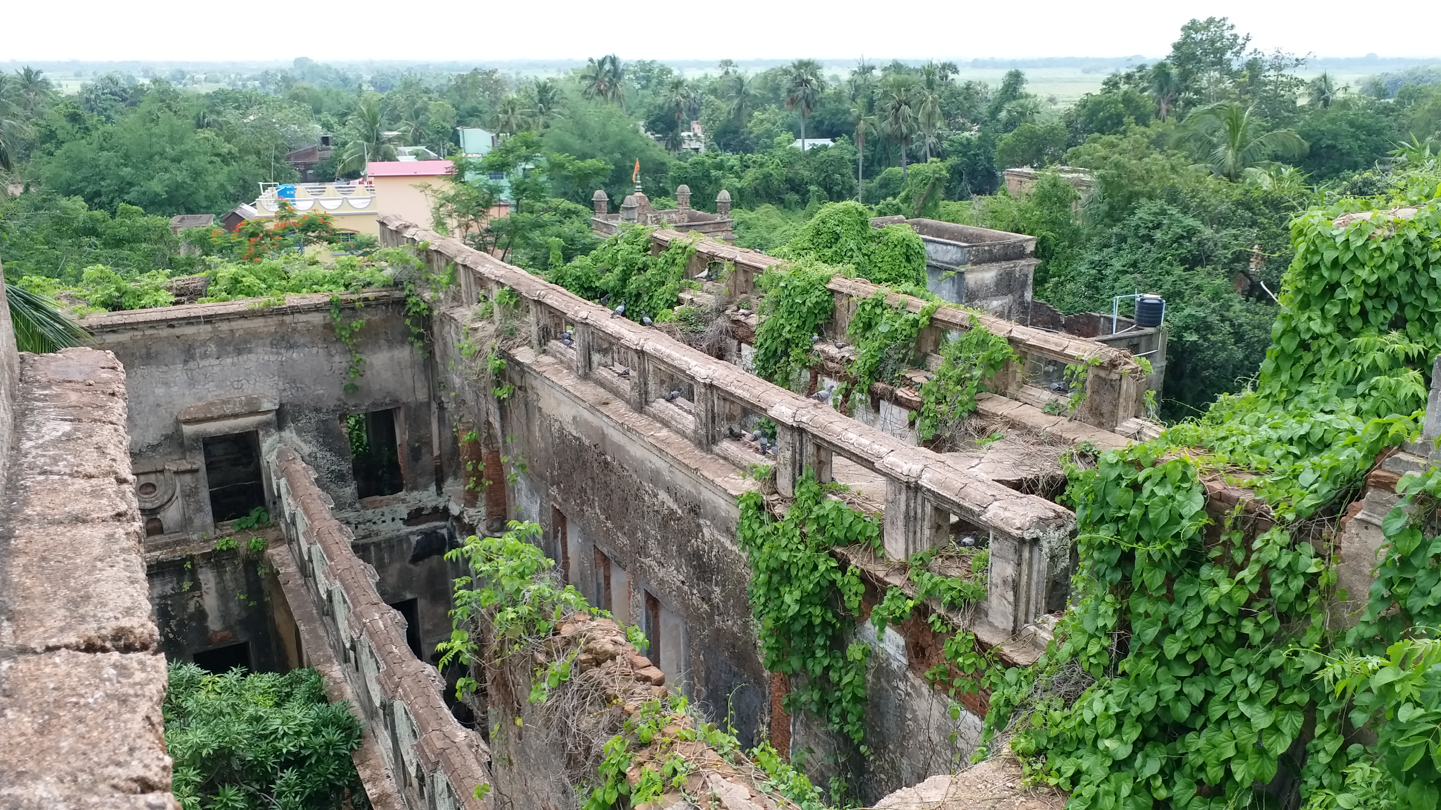 রাজবাড়ির চারপাশ আগাছা, জঞ্জালে ভরে গিয়েছে