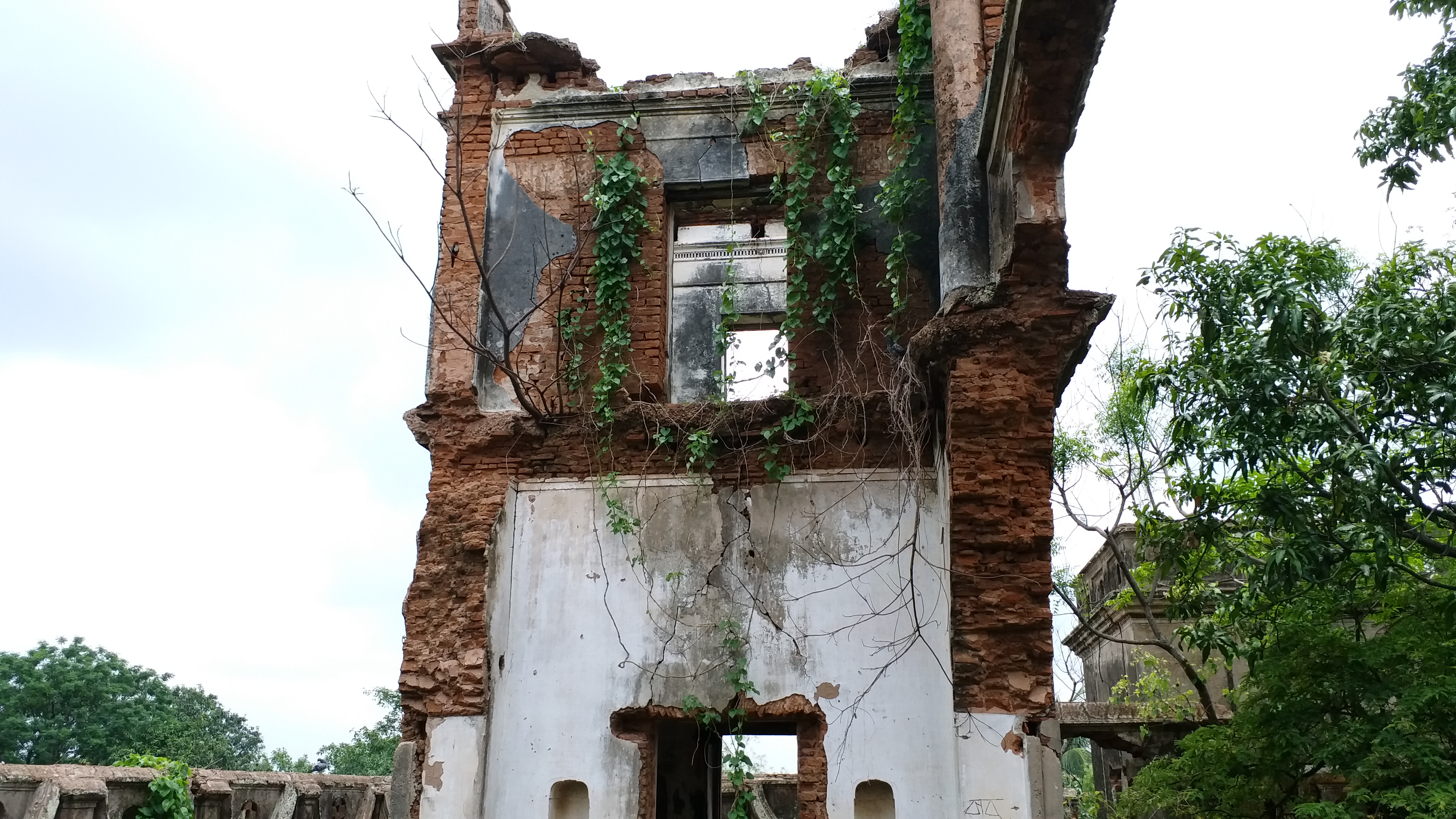 ভেঙে পড়েছে রাজবাড়ির দেওয়াল