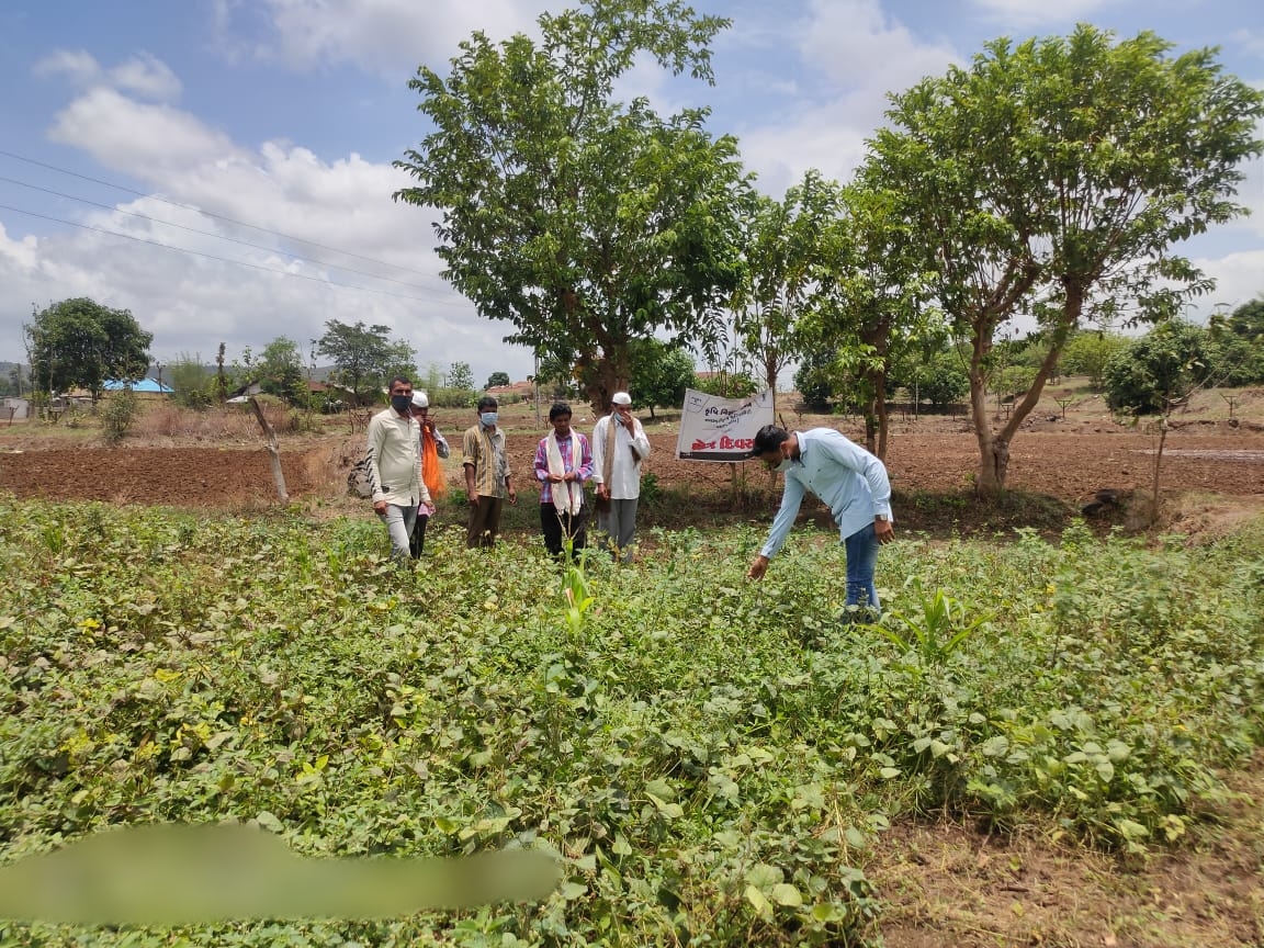 ડાંગના ગુંદિયા ગામે વઘઇ કૃષિ યુનિવર્સિટી દ્વારા યોજાઈ ખેડૂત તાલીમ