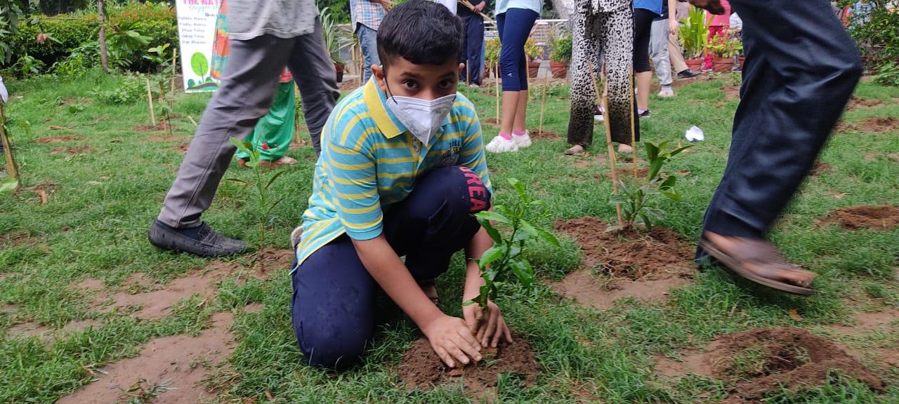 Children create 'micro oxygen chamber' by planting 750 sapling in Ludhiana