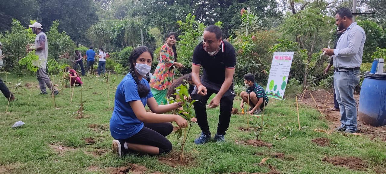 Children create 'micro oxygen chamber' by planting 750 sapling in Ludhiana