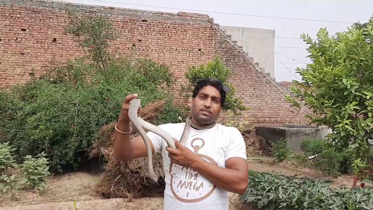 jind-snake-catcher-sonu-kumar-inspiring-story