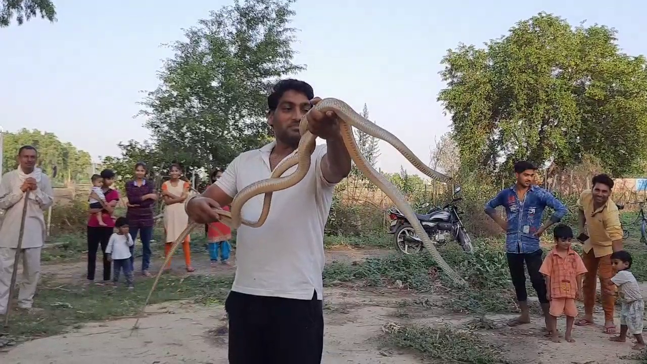 jind-snake-catcher-sonu-kumar-inspiring-story