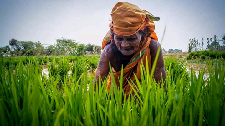 கூன் விழுந்த இவளின் கதையில் நிமிர்ந்து நடக்கிறது ஒரு தலைமுறை