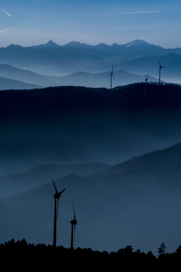 World Wind Day, Global Wind Energy Council