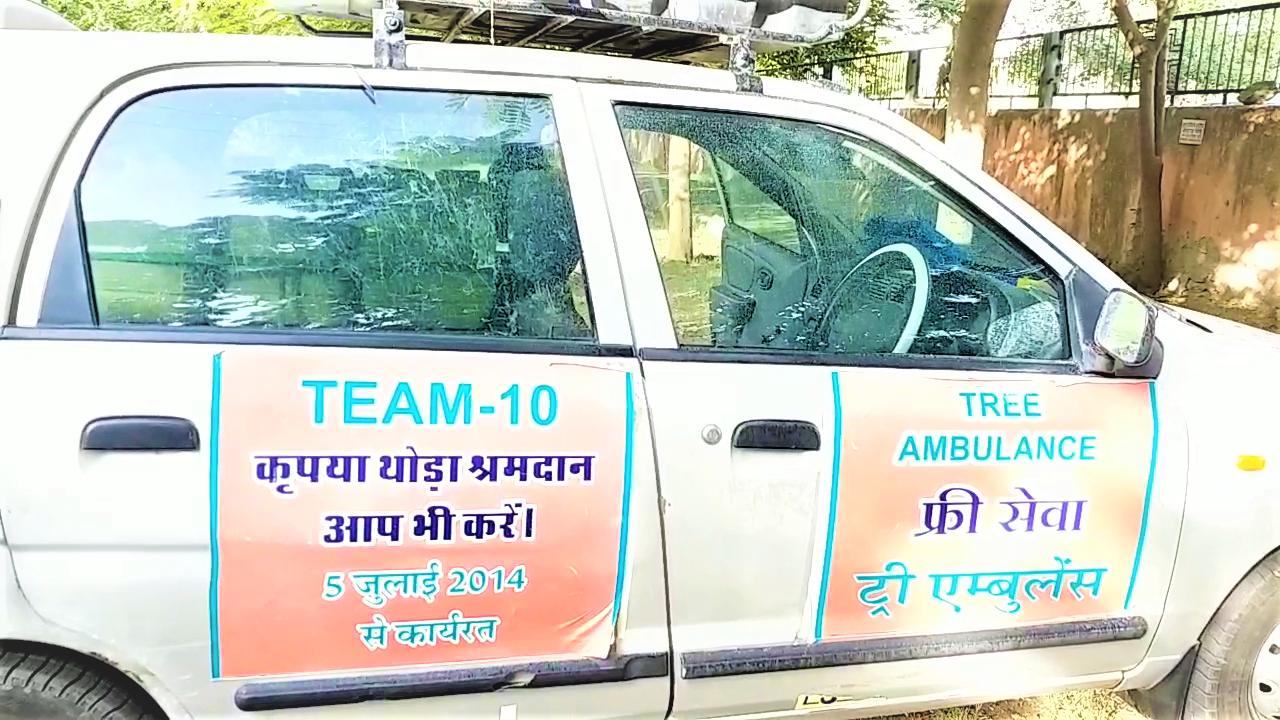 tree ambulance in jaipur, Tree ambulance treatment