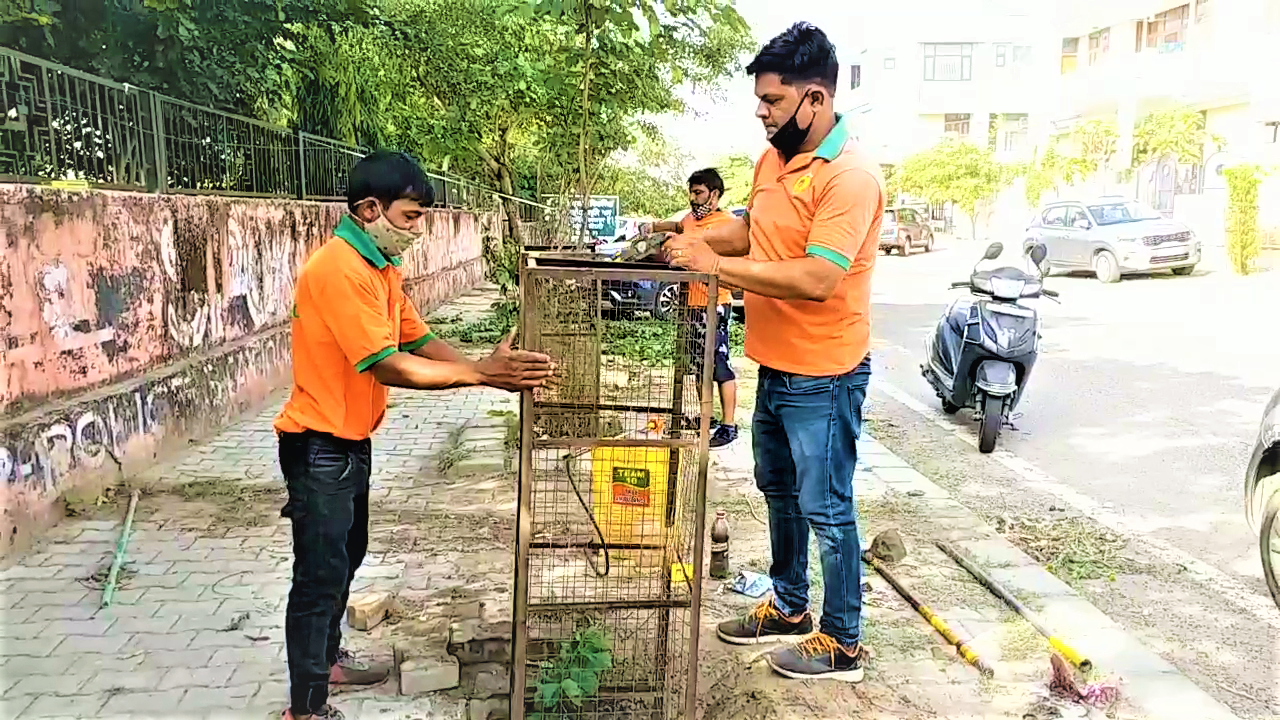 tree ambulance in jaipur, Tree ambulance treatment