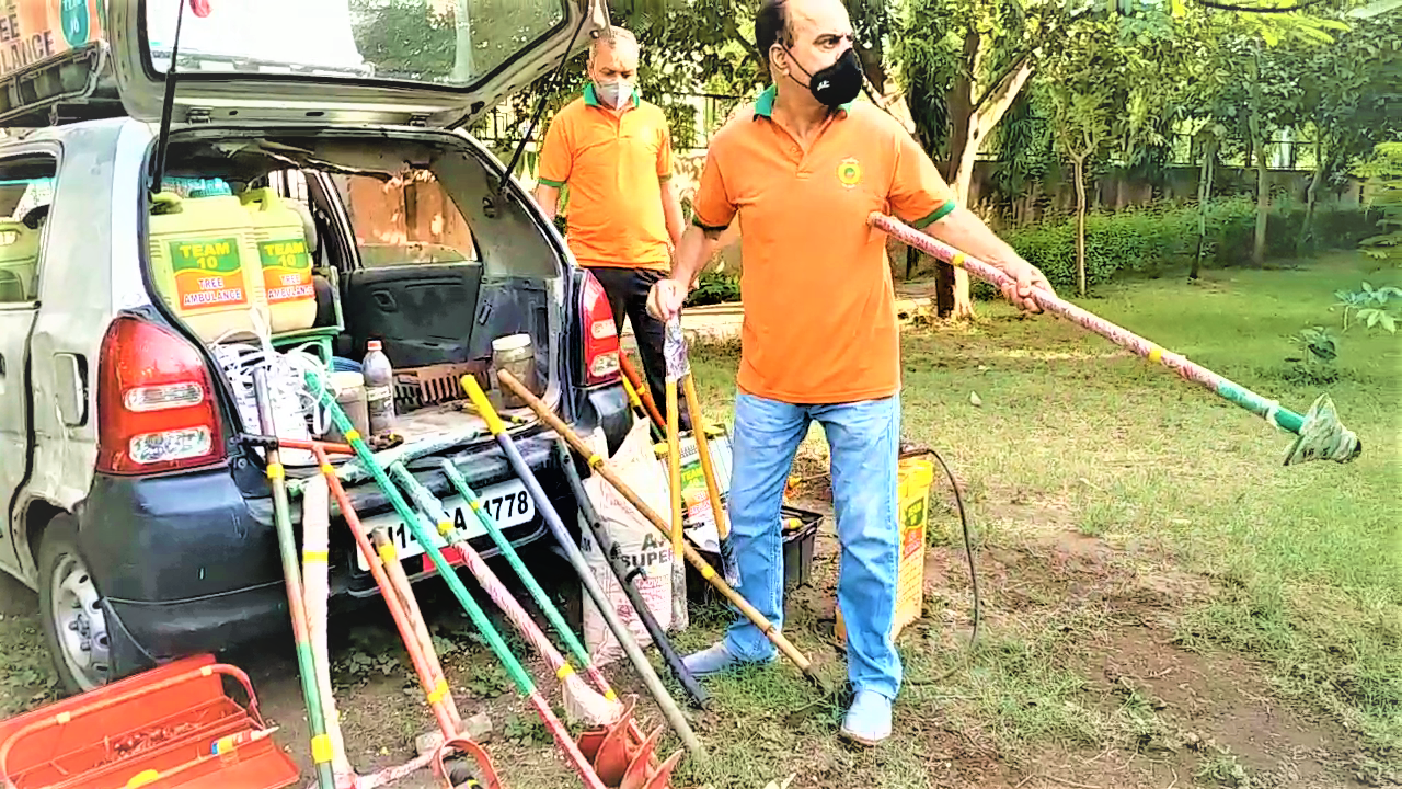 tree ambulance in jaipur, Tree ambulance treatment