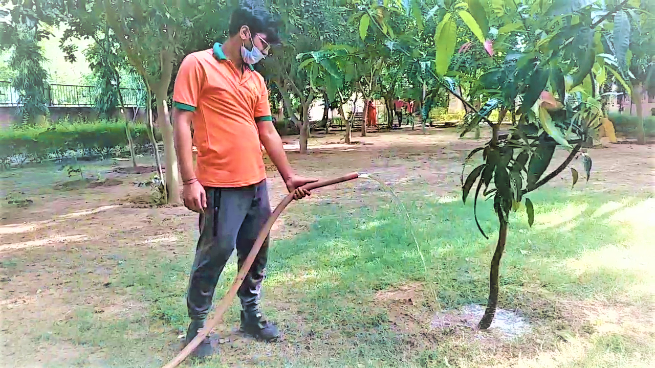 tree ambulance in jaipur, Tree ambulance treatment