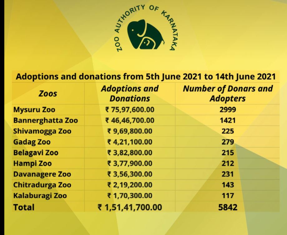 Number of adopted animals and the amount collected