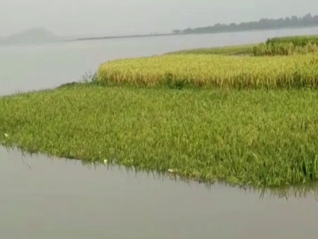 Flood threat in Seraikela