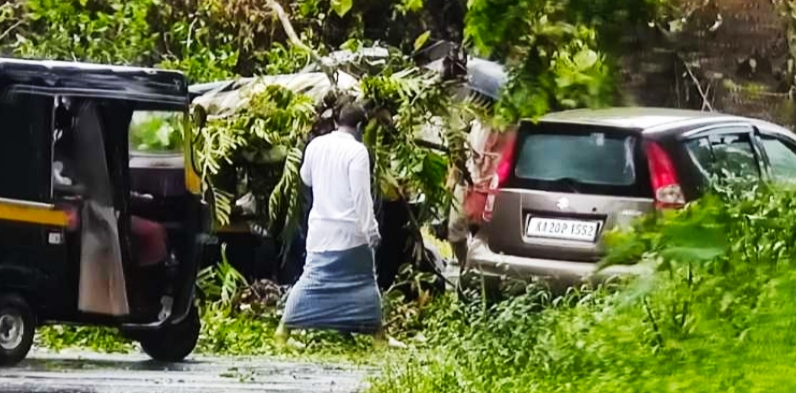 ಚಲಿಸುತ್ತಿದ್ದ ಆಟೋ ರಿಕ್ಷಾದ ಮೇಲೆಯೇ ಉರುಳಿ ಬಿದ್ದ ಮರ