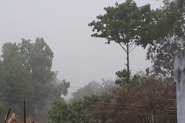 rain in chhattisgarh