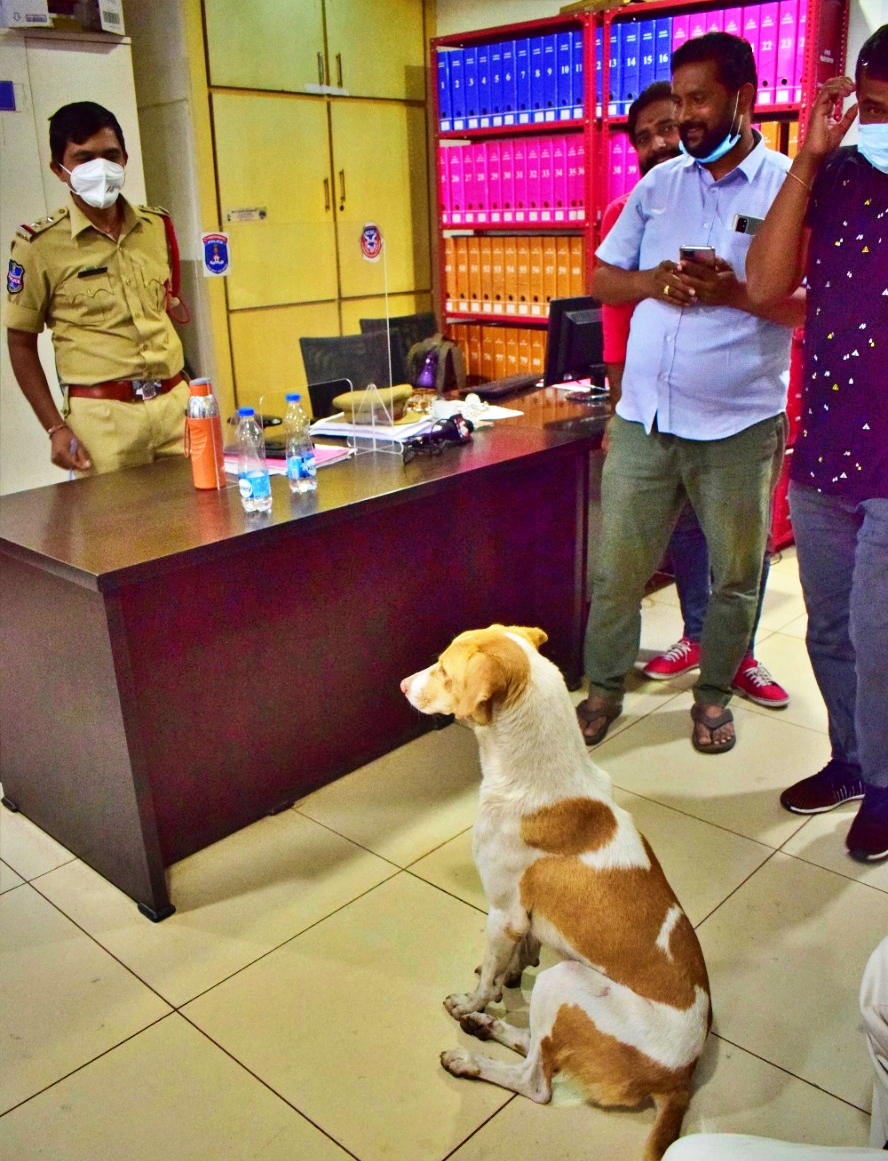 dog went to police, dog complained to si