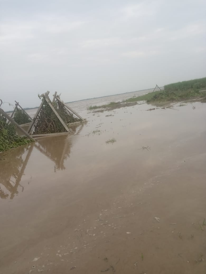 rain in hills  high alert in ganga coastal areas  flood in uttar pradesh  rain in mountains  river water level increased  rain in meerut  meerut today news in hindi  meerut latest news in hindi  उफनाई नदियां  नदियां उफान पर  बाढ़  बाढ़ का खतरा  भीमगोडा बैराज  गंगा नदी खतरे के निशान से ऊपर  पहाड़ों में हुई बारिश  मैदानी इलाकों में बाढ़ का खतरा  मेरठ की ताजा खबर  मेरठ बाढ़ समाचार