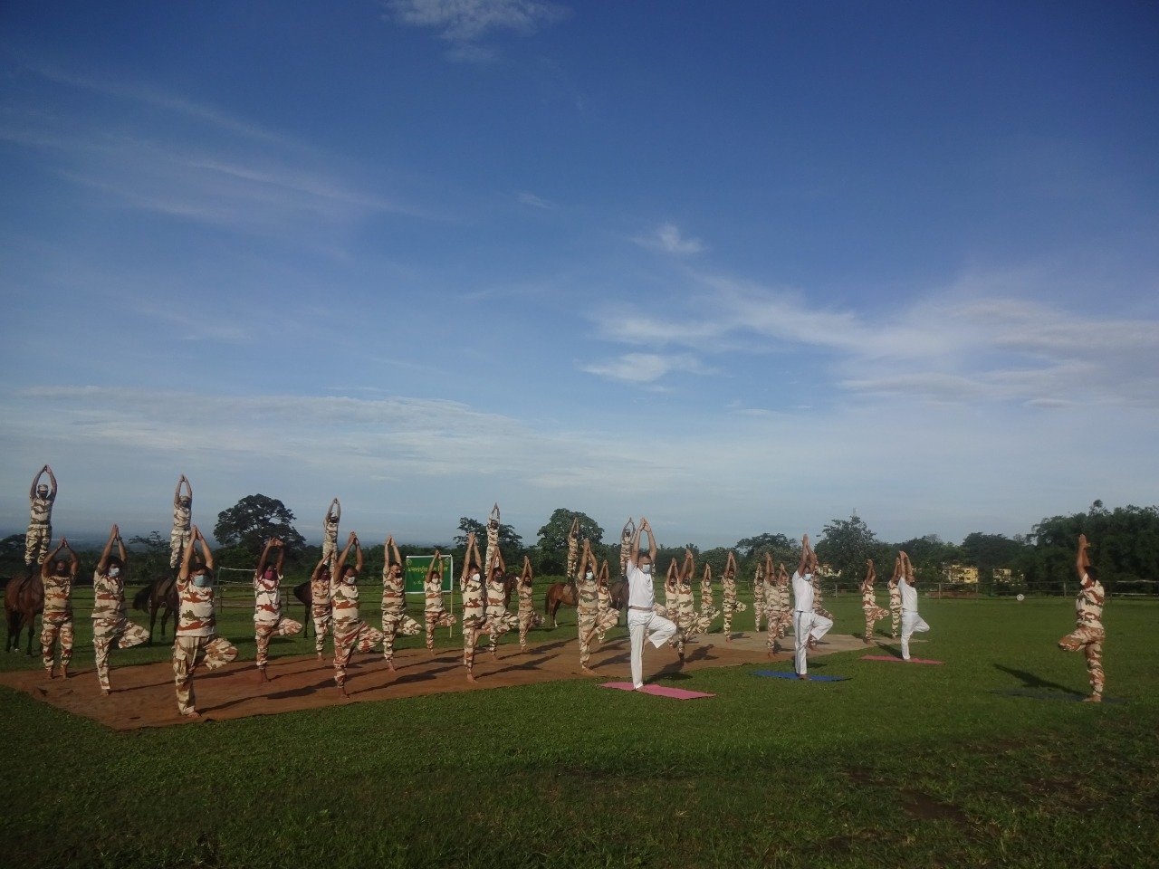 yoga day