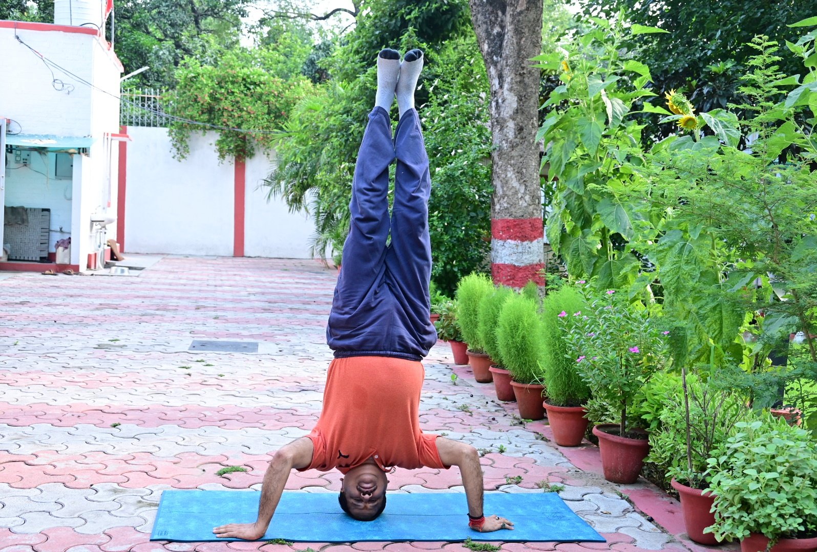 YOGA DAY 2021