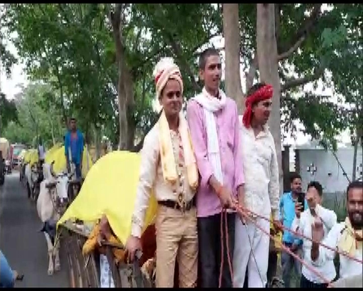 bullock cart