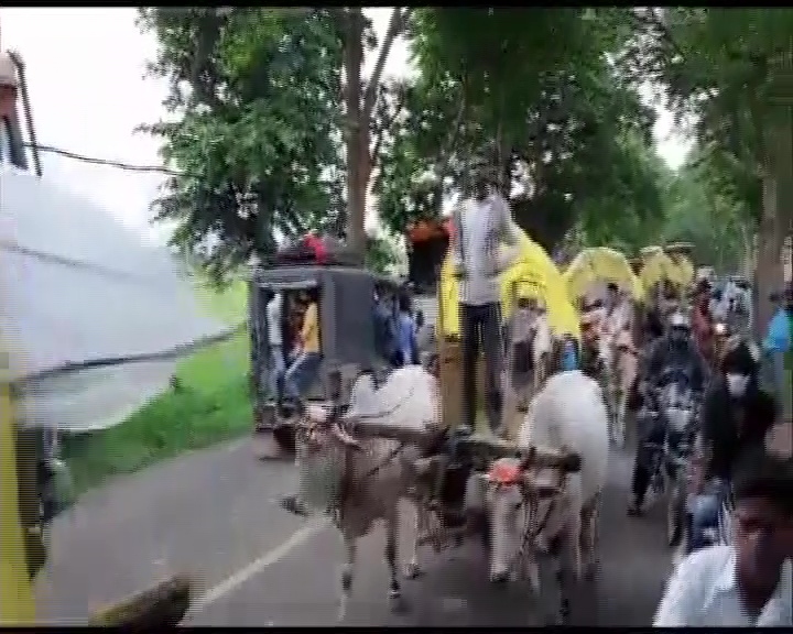 bullock cart