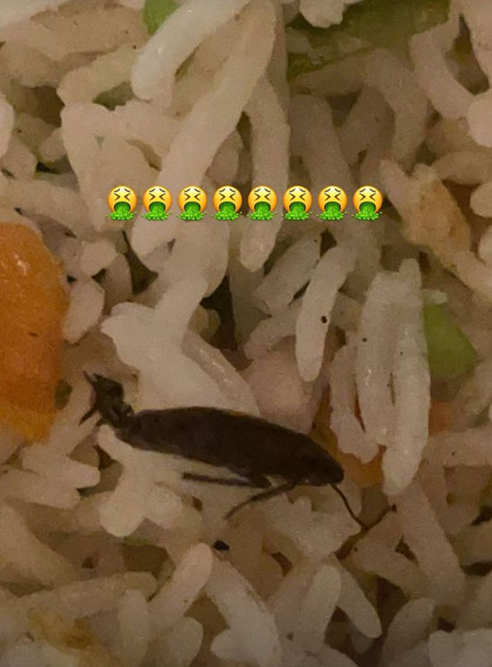 Nivetha Pethuraj finds cockroach in food, Swiggy takes Chennai restaurant off app