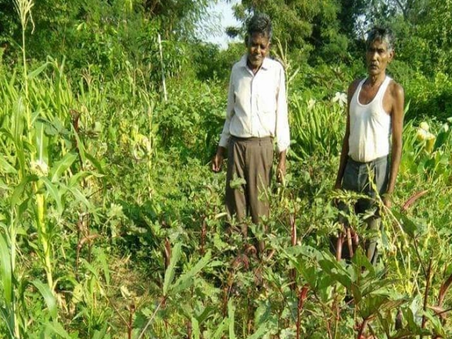 Satna Farmer Ram Lotan Kushwaha