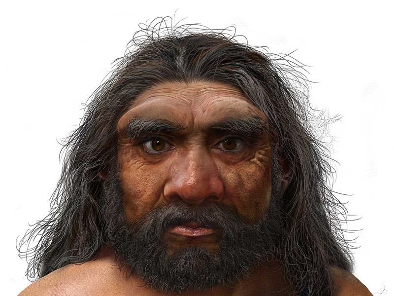 dragon man  homo longi  dragon man fossil  homo longi fossil  human evolution  ഡ്രാഗൺ മാൻ  ഹോമോ ലോംഗി  ഡ്രാഗൺ മാൻ ഫോസിൽ  ഹോമോ ലോംഗി ഫോസിൽ  മനുഷ്യന്‍റെ ഉൽപ്പത്തി