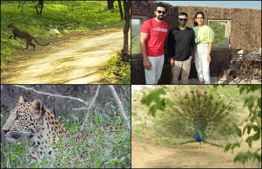 Actress Akansha singh in leopard safari