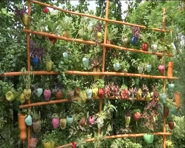 Madhya pradesh woman has grown a 'mini forest' in her house in bhopal