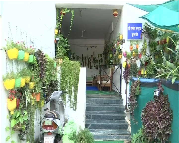 Madhya pradesh woman has grown a 'mini forest' in her house in bhopal