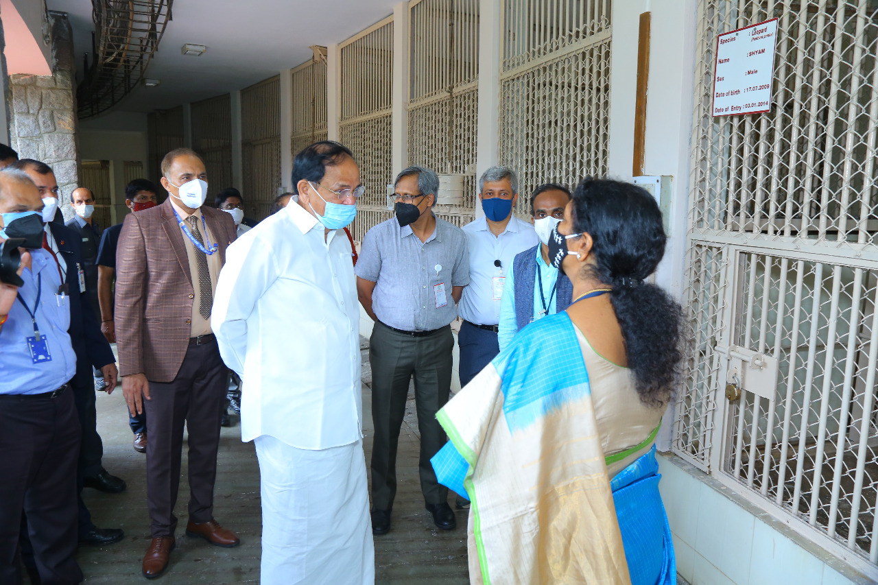 Venkaiah, Vice President Venkaiah Naidu, Venkaiah Naidu in Lacones