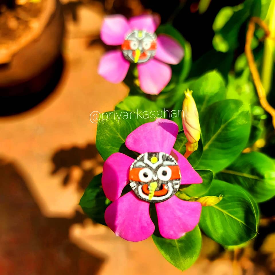 miniature artist from kendrapara, artist priyanka sahani, painting of lord jagannath, painting balabhadra and subhadra, painting of jagnnath in different objects, ଫୁଲରେ କାଳିଆକୁ ଆଙ୍କିଲେ ପ୍ରିୟଙ୍କା,  ଚିତ୍ରଶିଳ୍ପୀ ପ୍ରିୟଙ୍କା ସାହାଣୀ, ରଥଯାତ୍ରା, ରଙ୍ଗତୂଳୀରେ କାଳିଆ, ମହାପ୍ରଭୁ ଜଗନ୍ନାଥ, ସଫ୍ଟୱେୟାର ଡେଭଲପର, software developer