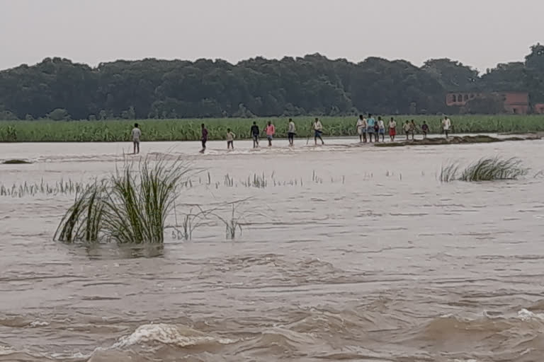 बिहार में बाढ़ की स्थिति