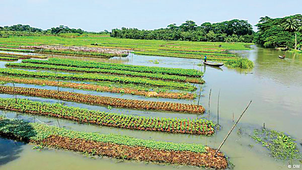 oceans farming