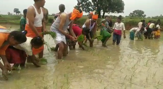 mp-sanjay-seth-plowed-field-in-ranchi