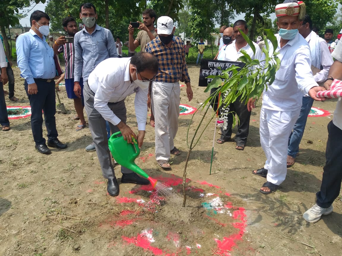 वृक्षारोपण करते कृषि उत्पादन आयुक्त आलोक सिन्हा.