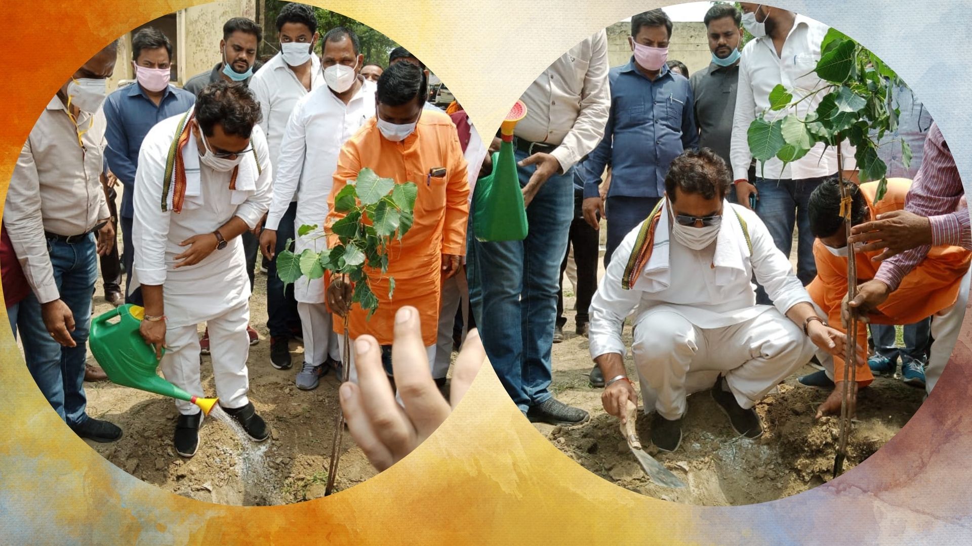 ऊर्जा मंत्री श्रीकांत शर्मा ने बरेली में किया वृक्षारोपण.