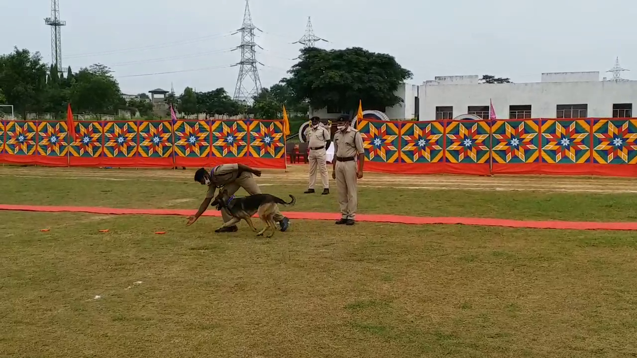 important-information-about-how-sniffer-dogs-get-trained-in-jharkhand