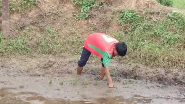 Sumati working in the fields