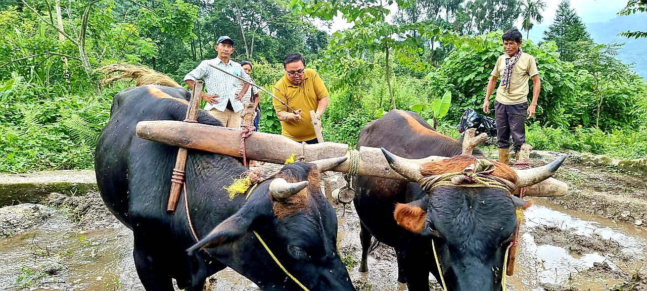 নিরজ জিম্বা