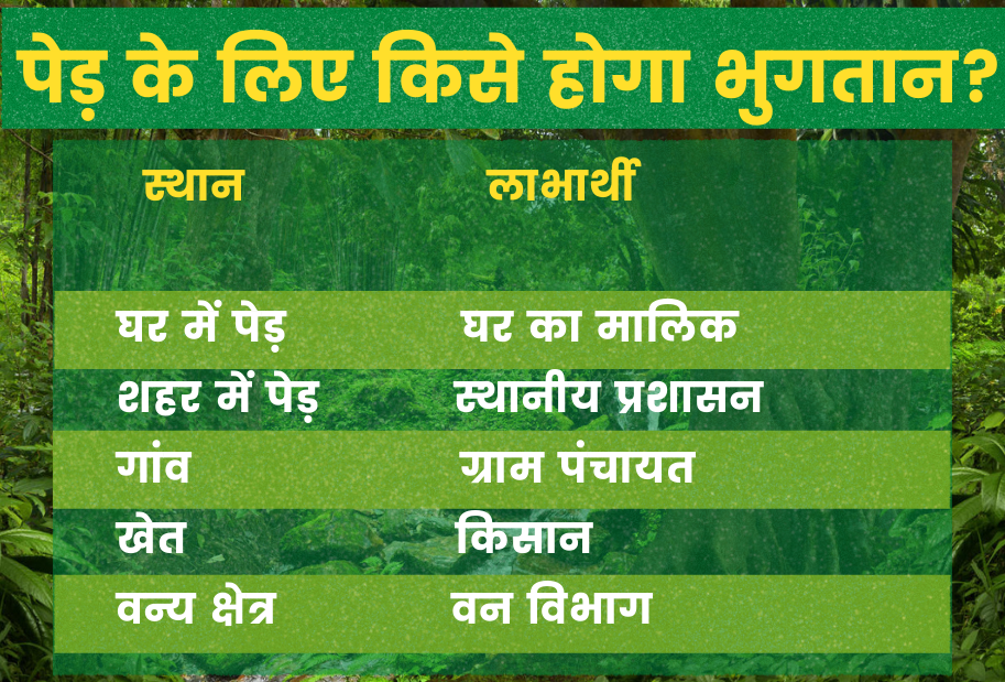 haryana trees pension scheme